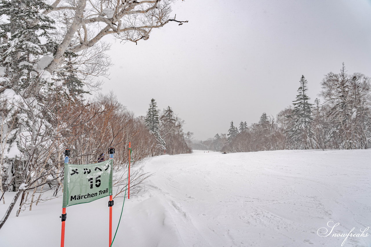 札幌国際スキー場　街は雨でも、山は雪！広々ゲレンデに思う存分シュプールを描こう(^^)/